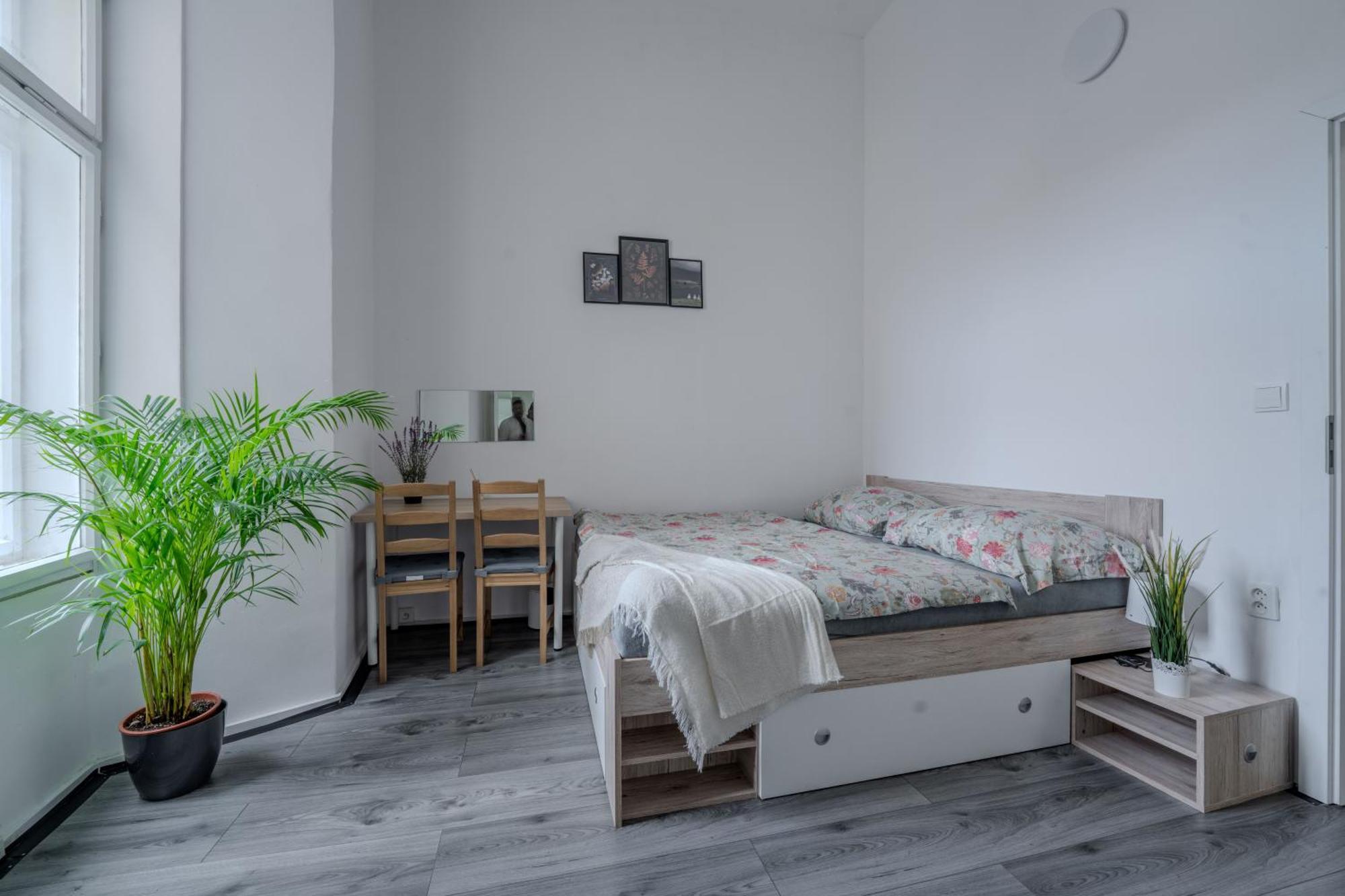 Stunning & Spacious 2bdr Apt In Center Prague